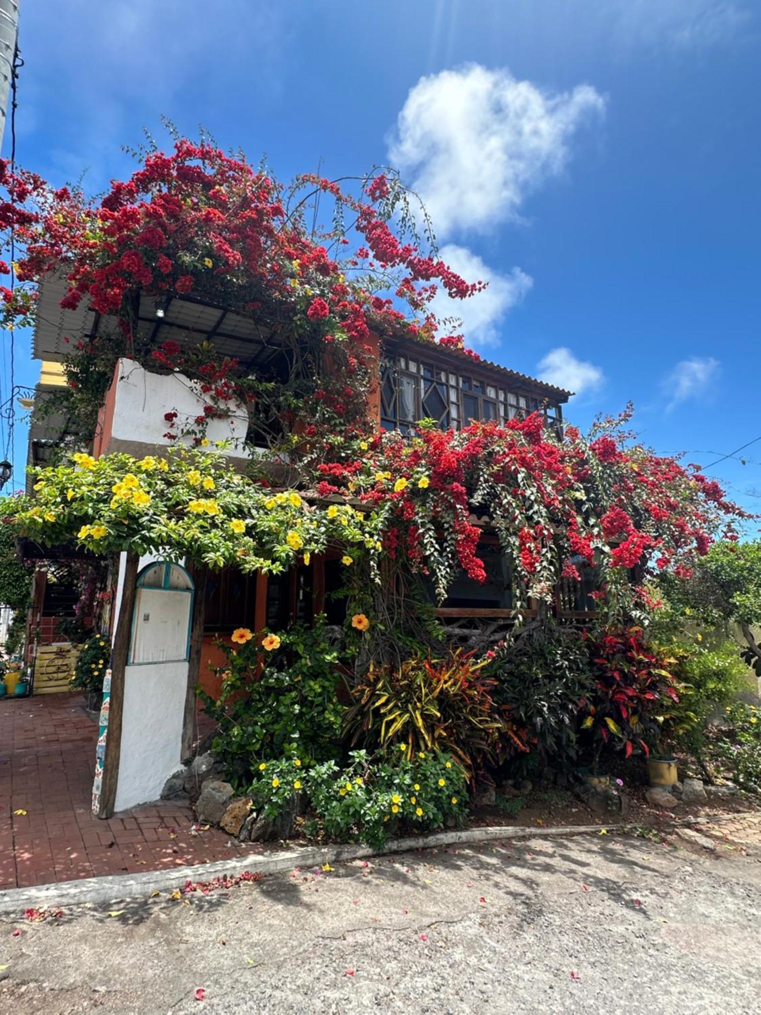 Casa Del Lago Lodging House Puerto Ayora  Exterior photo